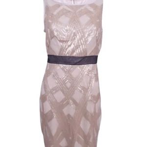 Jax Sequin Midi Champagne Dress with Black Accent, Size 4 NWT